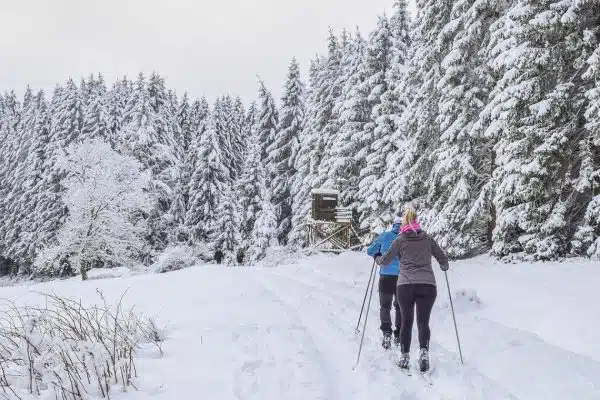 5 activités hivernales à pratiquer au Pays basque !