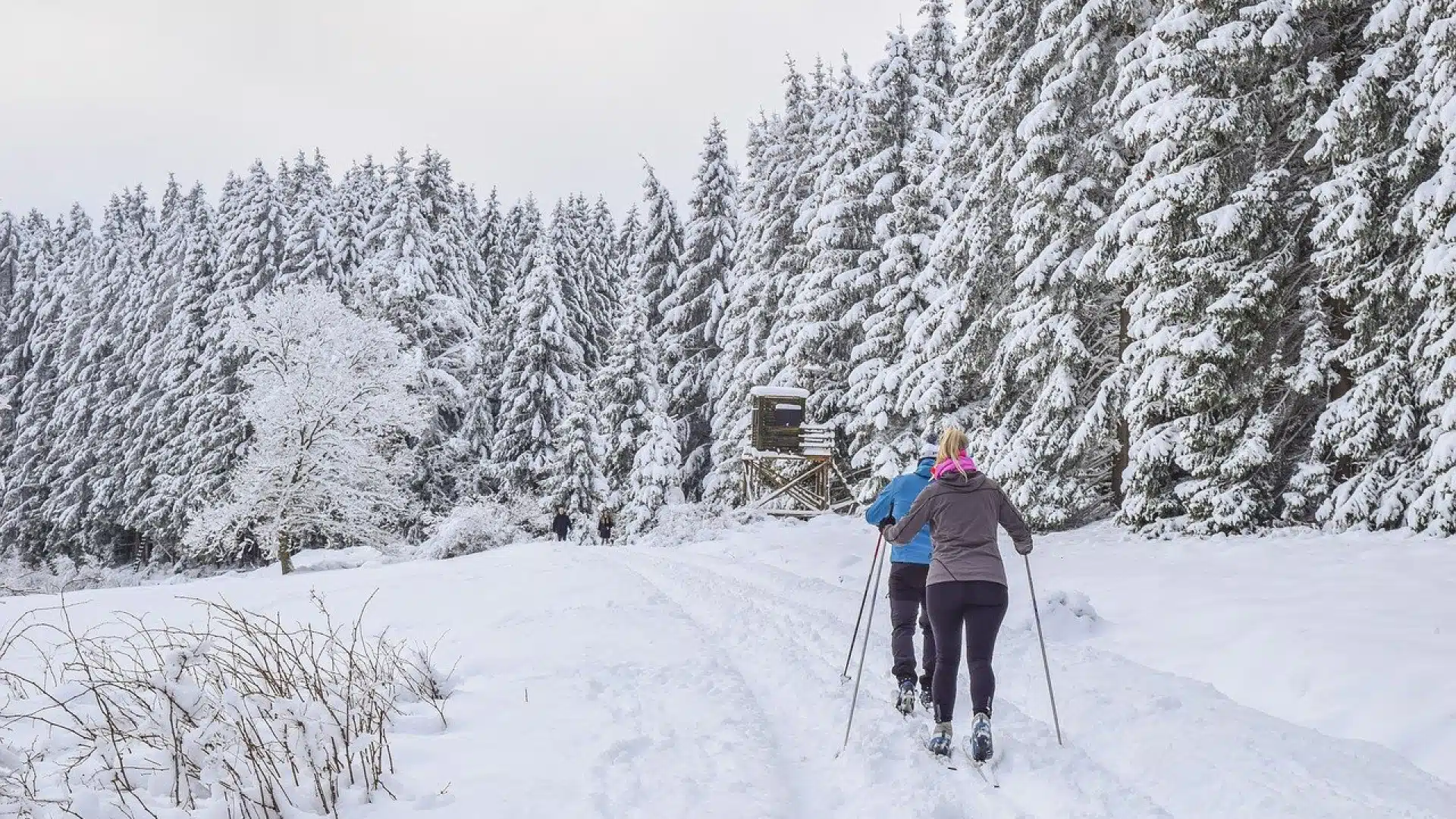 5 activités hivernales à pratiquer au Pays basque !