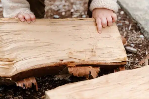 Les meubles en bois fruitier le mélange parfait de la tradition et de la modernité