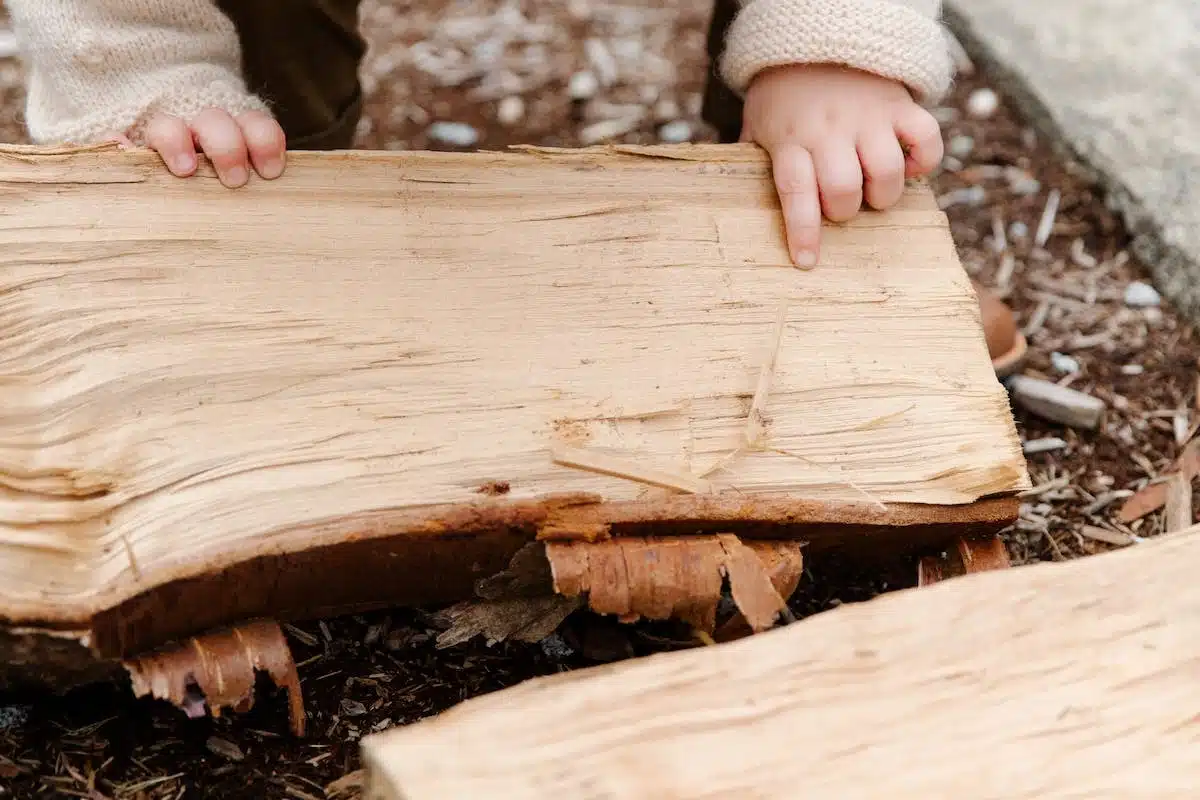 Les meubles en bois fruitier le mélange parfait de la tradition et de la modernité