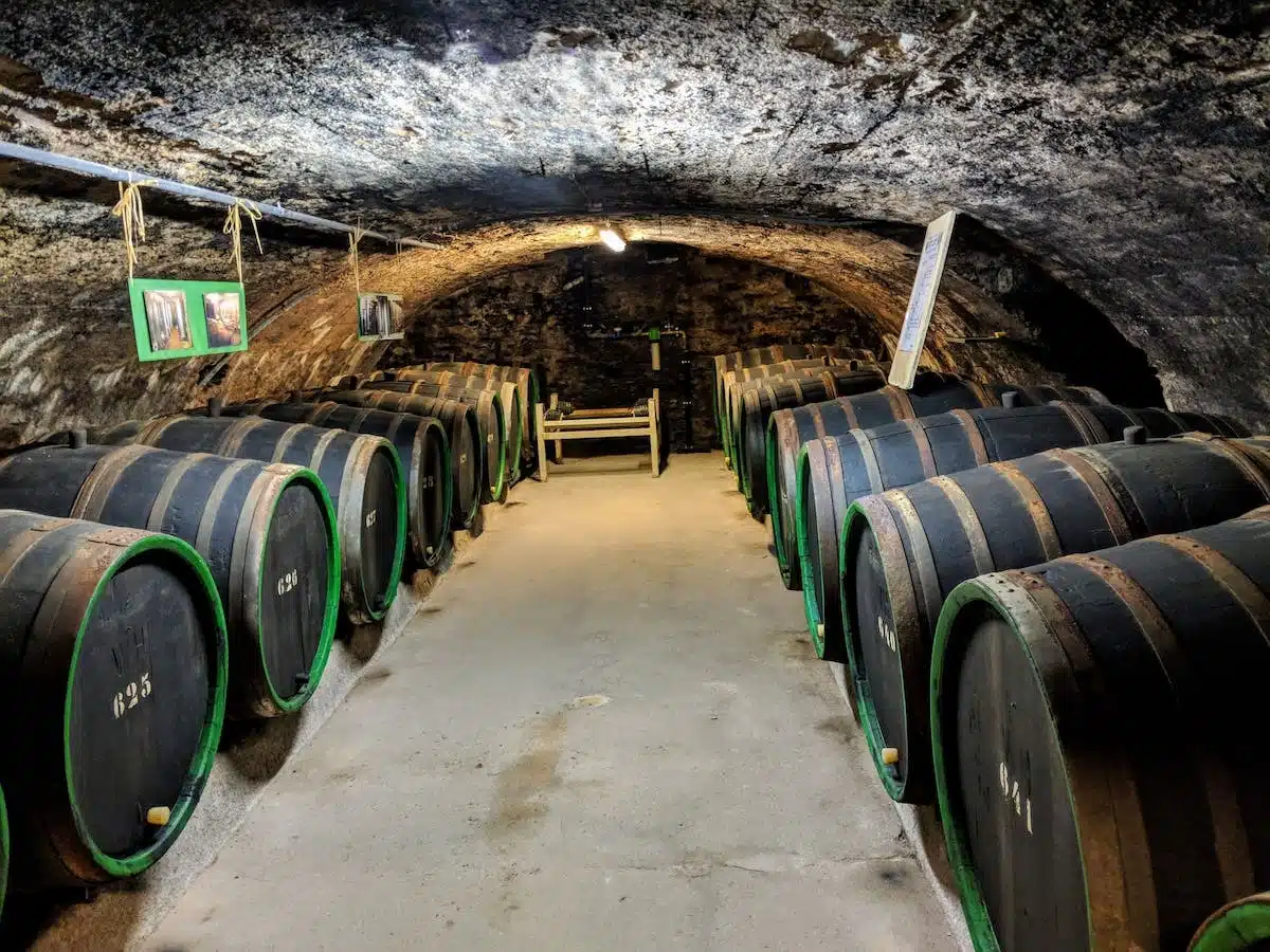 Les différents facteurs à considérer lors du dimensionnement d’une cave à vin