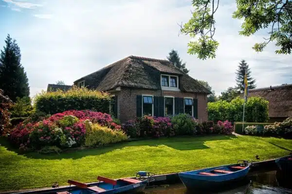Aménager un petit jardin avec succès : conseils pratiques et astuces inspirantes