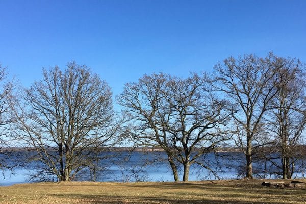 Comment s’habiller pour la marche hivernale ?