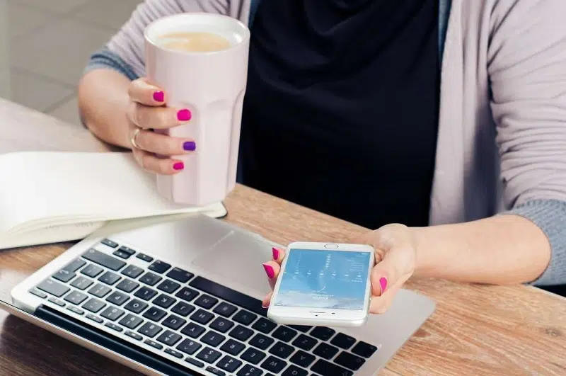 Wawa Mania : connexion et nouvelle adresse